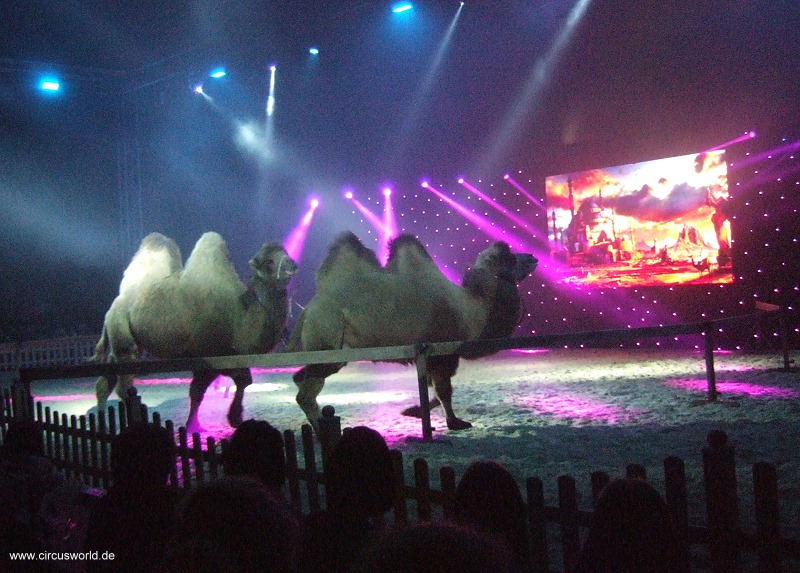 Show_15