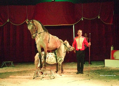 Circus Romantica